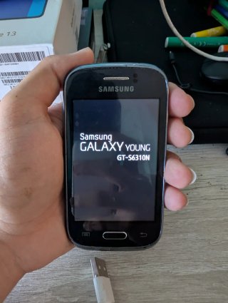 Samsung Galaxy Young GTS6310N 2013