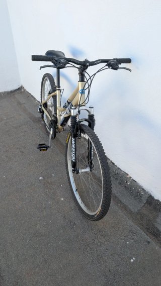 Bicicleta CONOR AFX 2.0 Señora Dorada