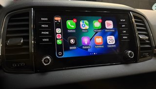 SKODA KAROQ 2.0 TDI AMBITION 4X4 DSG