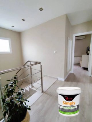 Salou pintura