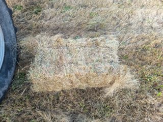 Fardos de heno de alpaca