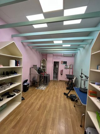 Peluqueria canina