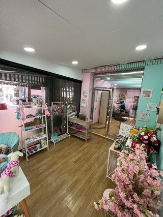 Peluqueria canina