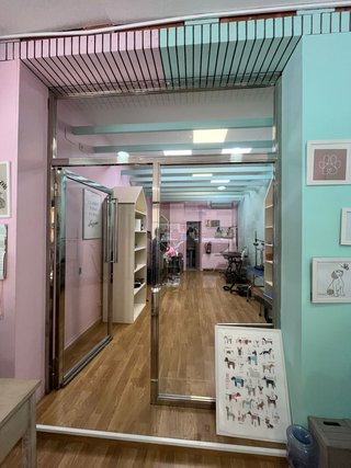 Peluqueria canina