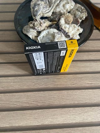 SSD KIOXIA EXCERIA 1024GB NVMe
