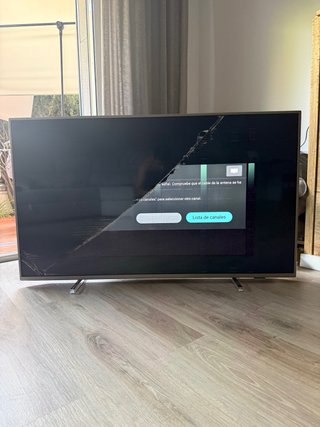TV Philips 55 Panel Roto