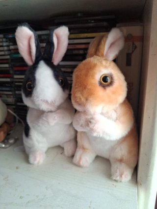 Peluche Conejo Rabbit Muñeco