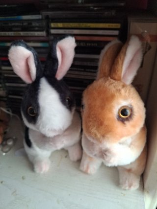 Peluche Conejo Rabbit Muñeco