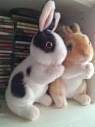 Peluche Conejo Rabbit Muñeco