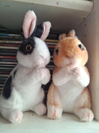 Peluche Conejo Rabbit Muñeco