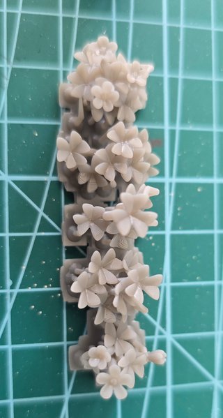 BASING BITS - Piante 28mm