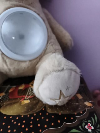 Osito de peluche con proyector,
