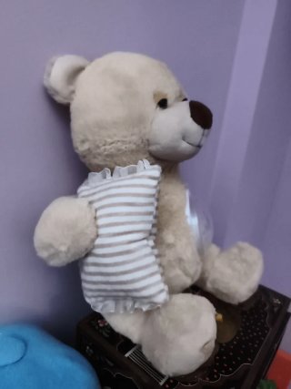 Osito de peluche con proyector,