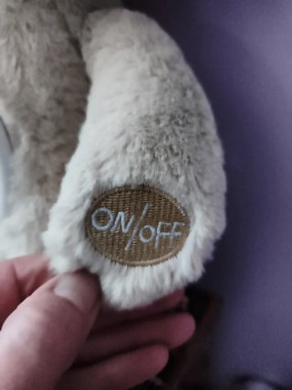Osito de peluche con proyector,