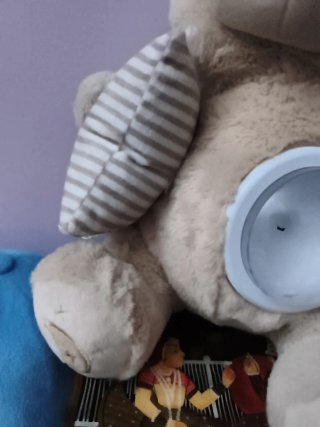 Osito de peluche con proyector,