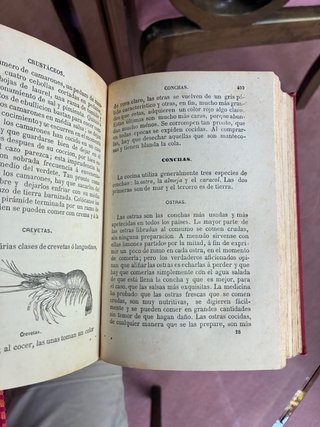 Libro El cocinero europeo 1888