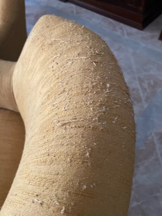 Tresillo de sofás de tela