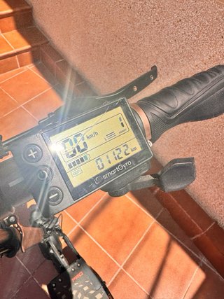 Patinete Eléctrico SmartGyro Speedway Pro
