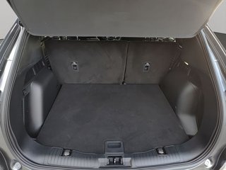 Ford Kuga ST-Line 1.5 EcoBlue 88 kW (120 CV)