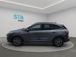 Ford Kuga ST-Line 1.5 EcoBlue 88 kW (120 CV)