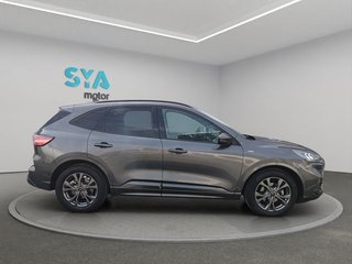 Ford Kuga ST-Line 1.5 EcoBlue 88 kW (120 CV)