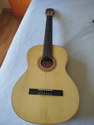Funda para guitarra negra