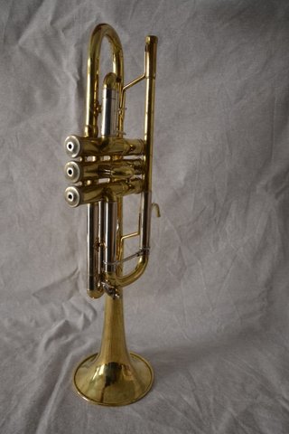 Trompeta Bach Stradivarius 229 - 25H