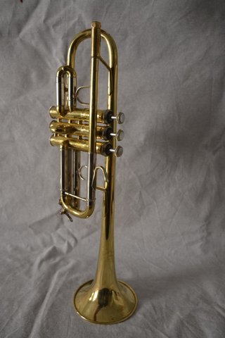 Trompeta Bach Stradivarius 229 - 25H