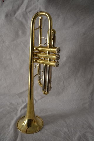 Trompeta Bach Stradivarius 229 - 25H