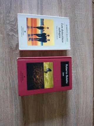 Dos novelas de Roberto Bolaño