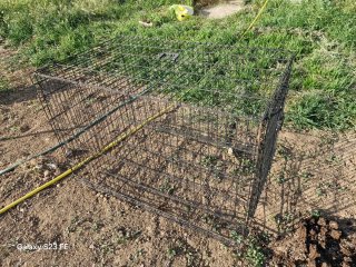 Jaulas metálica para animales Variadas