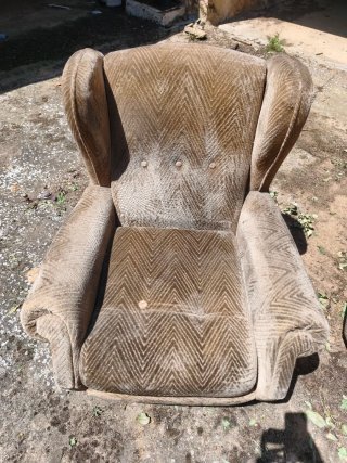 Coppia di poltrone classiche con cuscini (molto comode)