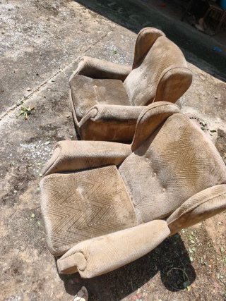 Coppia di poltrone classiche con cuscini (molto comode)