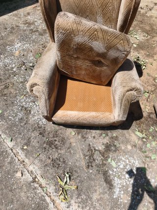 Coppia di poltrone classiche con cuscini (molto comode)