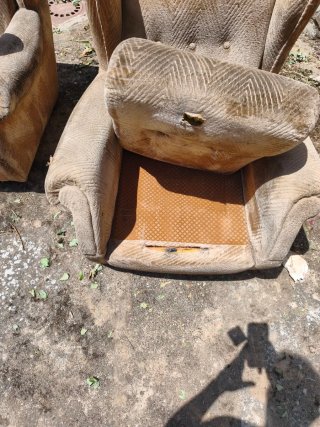 Coppia di poltrone classiche con cuscini (molto comode)