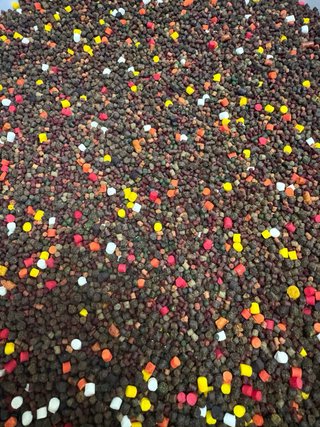 10 Bolsas PVA para Carpfishing