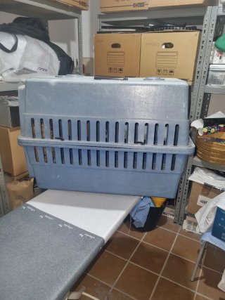 Transportín para perros azul