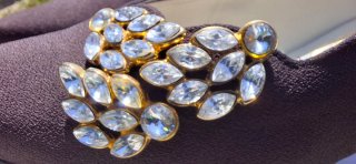 Zapatos Carmina Marrones con Pedrería.