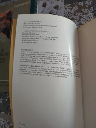 San Baudelio de Berlanga guía y complementarios