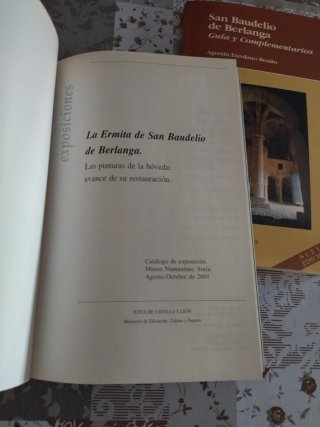 San Baudelio de Berlanga guía y complementarios