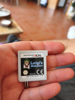 Luigi's Mansion Nintendo 3DS