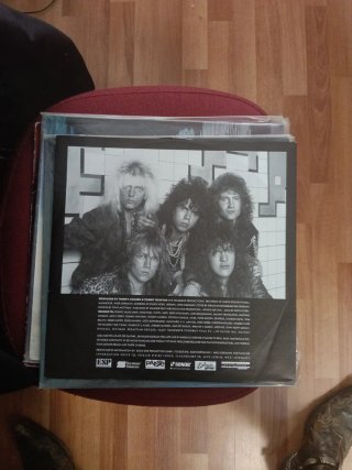 Vinilo Steeler - Undercover Animal