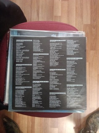 Vinilo Steeler - Undercover Animal