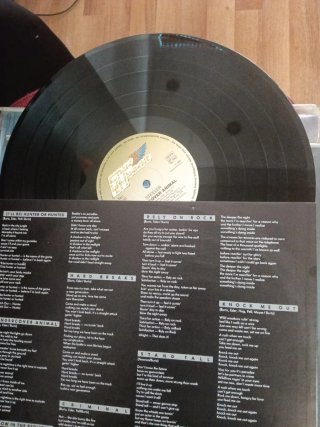 Vinilo Steeler - Undercover Animal