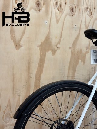 Rose Sneak Plus EQ Mahle 2023