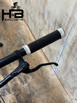 Rose Sneak Plus EQ Mahle 2023