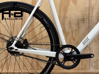 Rose Sneak Plus EQ Mahle 2023