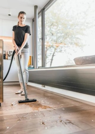 Kärcher Aspirador WD 2 Plus