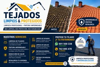 Limpieza en tejados y fachadas