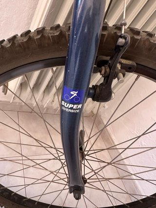 Bicicleta BH Top Line